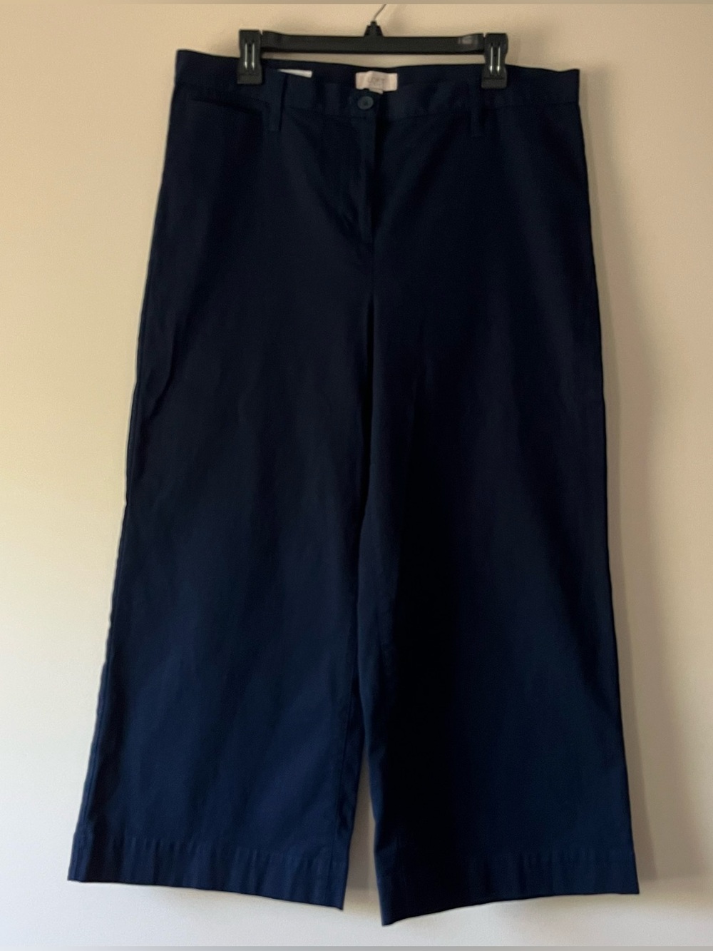 LOFT Outlet Navy Wide Leg Crop Pants